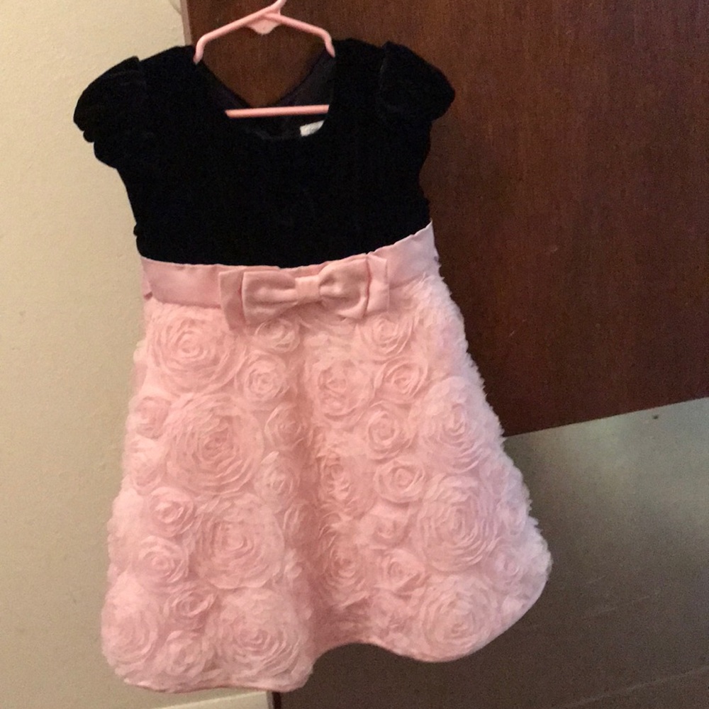 Velvet rose toddler dress
